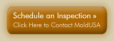 Schedule an Inspection